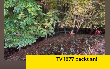TV 1877 packt an!